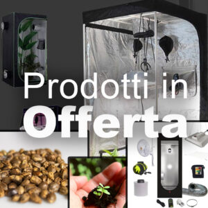 Prodotti in Offerta